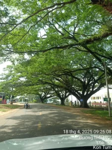 Taxi Phạm Cường KonTum Gia Lai